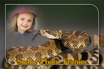 Image 0 for Snake Photo Editor
