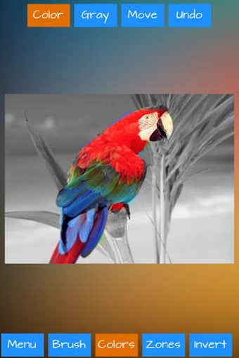 Image 0 for Color Magic+