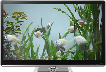 Image 1 for Fish Tank on TV via Chrom…