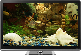Image 2 for Fish Tank on TV via Chrom…