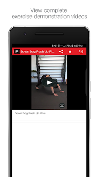 Image 3 for Prehab