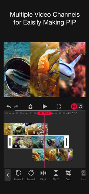 Image 3 for Focos Live