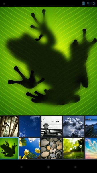 Imagen 2 para F-Stop Media Gallery Key