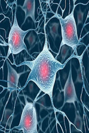 Image 0 for Science