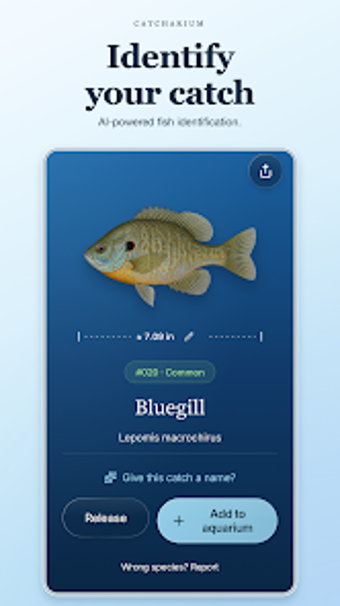 Image 0 for Catcharium: Fish ID  Log