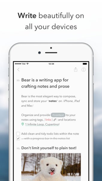 Image 1 for Bear