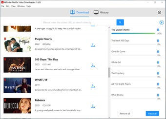 Image 0 for 4kFinder Netflix Video Do…