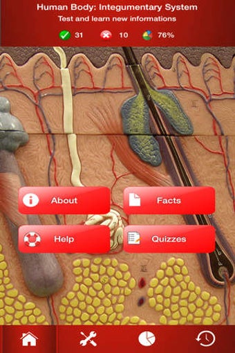 Image 0 for Human Body : Integumentar…