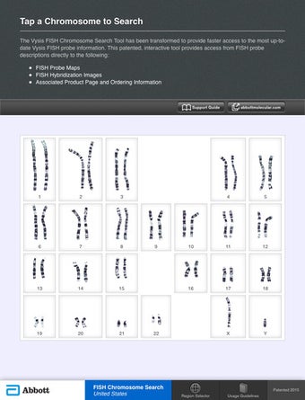 Imagen 0 para Abbott FISH Chromosome Se…