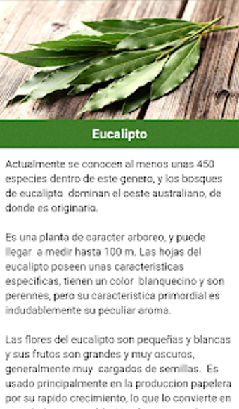 Image 2 for Medicinal Plants and Natu…