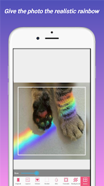 Image 3 for Rainbow Camera Filter