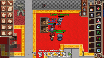 Imagen 1 para Kakele MMORPG