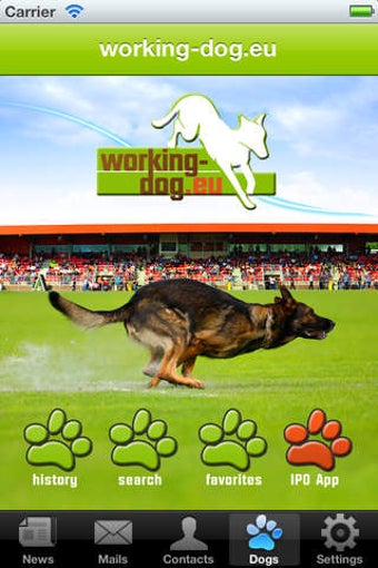 Image 0 for working-dog