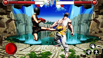 Image 1 for Ultimate Combat Ring Figh…