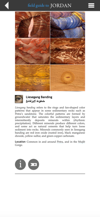 Image 1 for Field Guide to Jordan