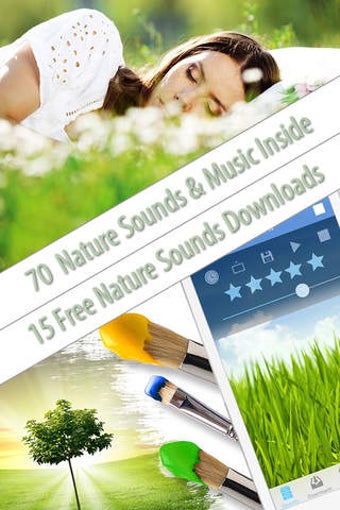 Image 0 for Nature Sounds of Forest S…