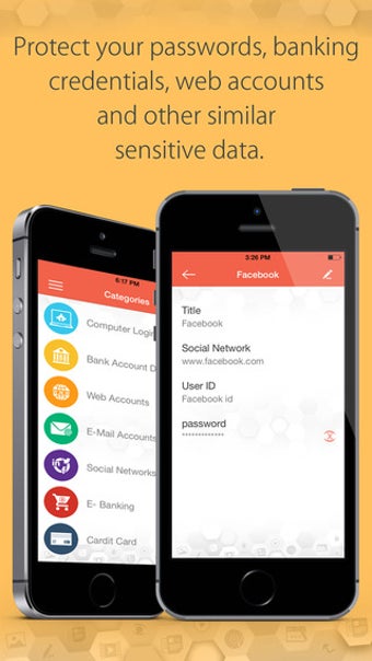 Image 0 for File & Password Vault