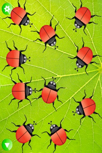 Image 0 for Ladybug Sight Words - Dol…