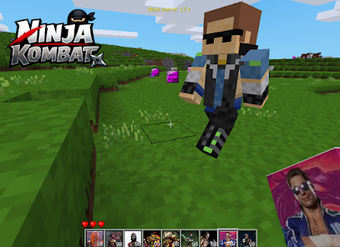 Image 0 for Ninja kombat craft
