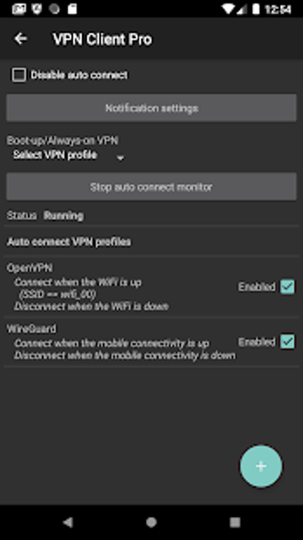 Imagen 3 para VPN Client Pro