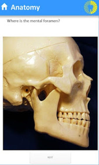 Image 2 for Dentoblast - Dentistry Qu…