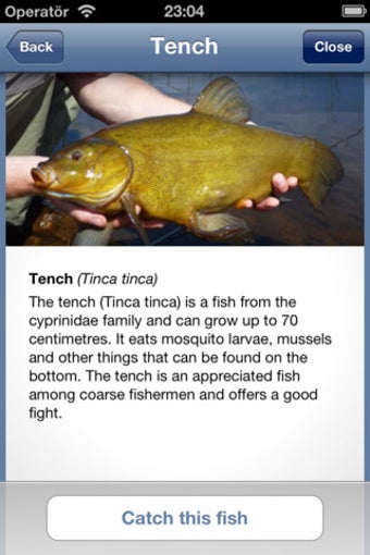 Image 0 for Fish Kingdom