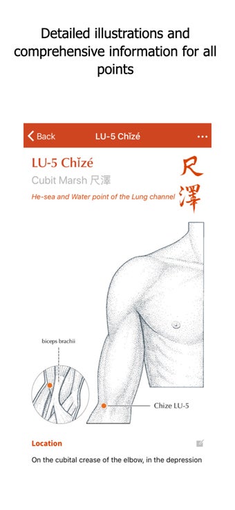 Image 0 for A Manual of Acupuncture v…