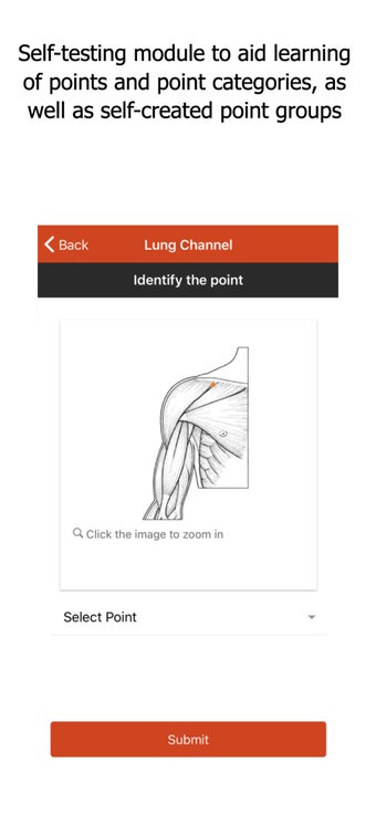 Image 3 for A Manual of Acupuncture v…