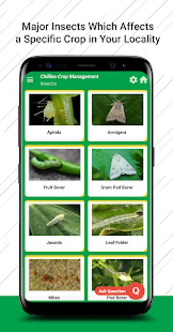 Image 0 for NaPanta - Kisan Digital A…