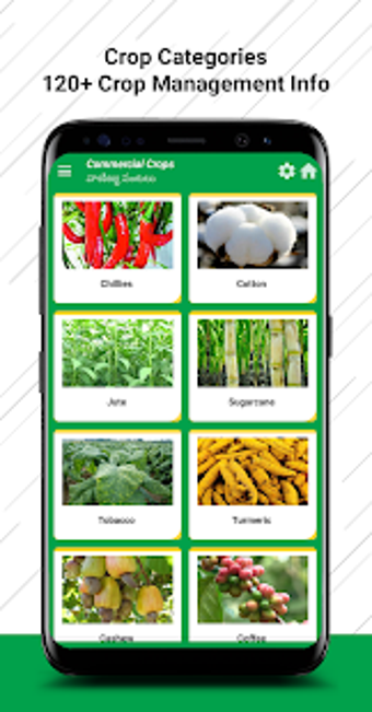 Image 1 for NaPanta - Kisan Digital A…