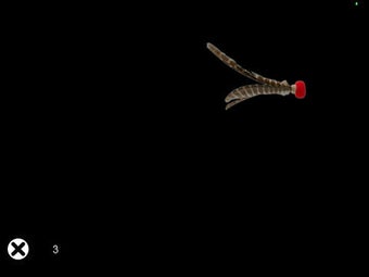 Image 0 for Cat Games