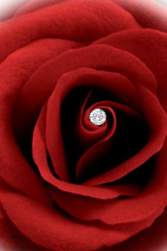 Imagen 0 para Free Flower Wallpapers