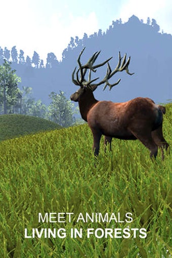 Image 0 for Explain 3D: Forest animal…