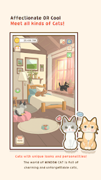 Imagen 0 para Window Meow