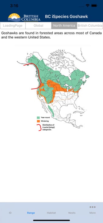 Image 0 for BC iSpecies Goshawk