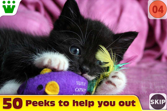 Image 0 for Did You See?