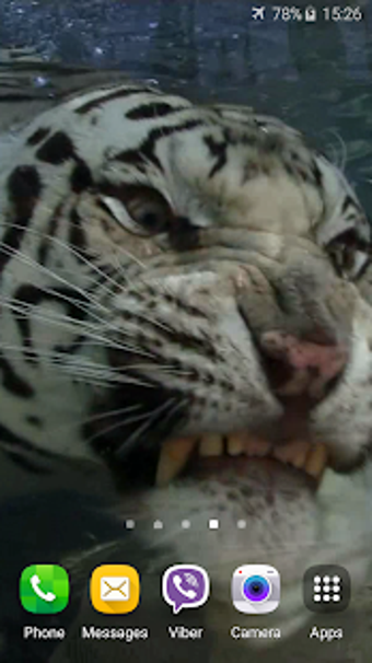 Image 0 for Tiger Video Live Wallpape…