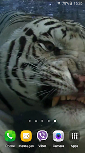 Image 1 for Tiger Video Live Wallpape…
