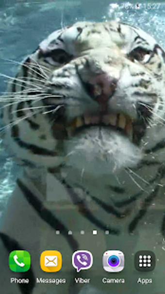 Image 3 for Tiger Video Live Wallpape…