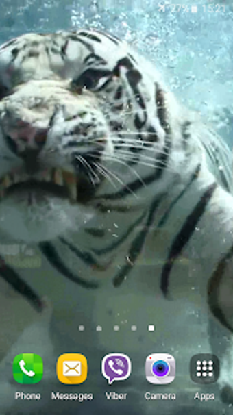 Image 2 for Tiger Video Live Wallpape…