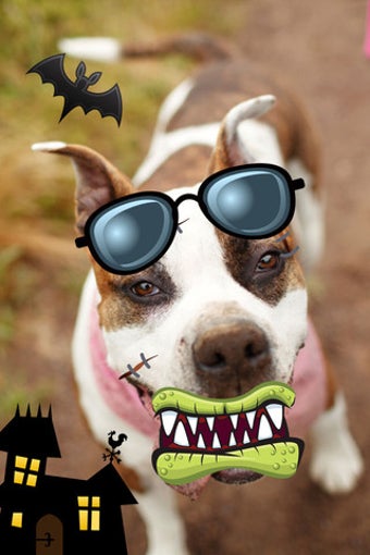 Image 3 for Toon Booth free