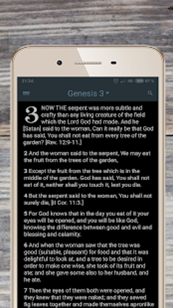 Imagen 0 para Amplified Bible free offl…
