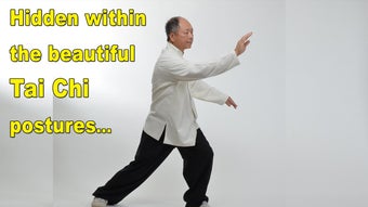 Image 0 for Tai Chi Martial Applicati…