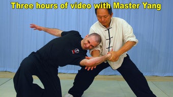 Image 1 for Tai Chi Martial Applicati…