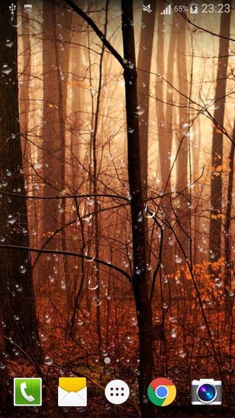 Imagen 1 para Fireflies Drops Live Wall…
