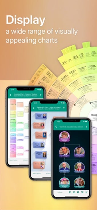 Image 0 for MobileFamilyTree 9