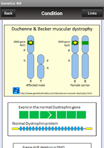 Image 2 for Genetics 4 Medics