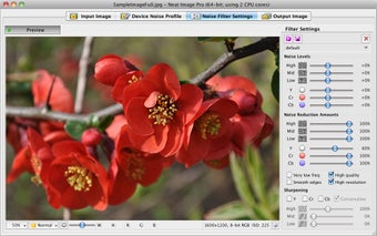 Image 0 for Neat Image Standalone