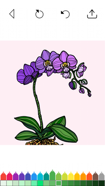 Image 1 for Flower Coloring Book Game…