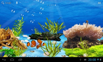 Image 0 for Aquarium live